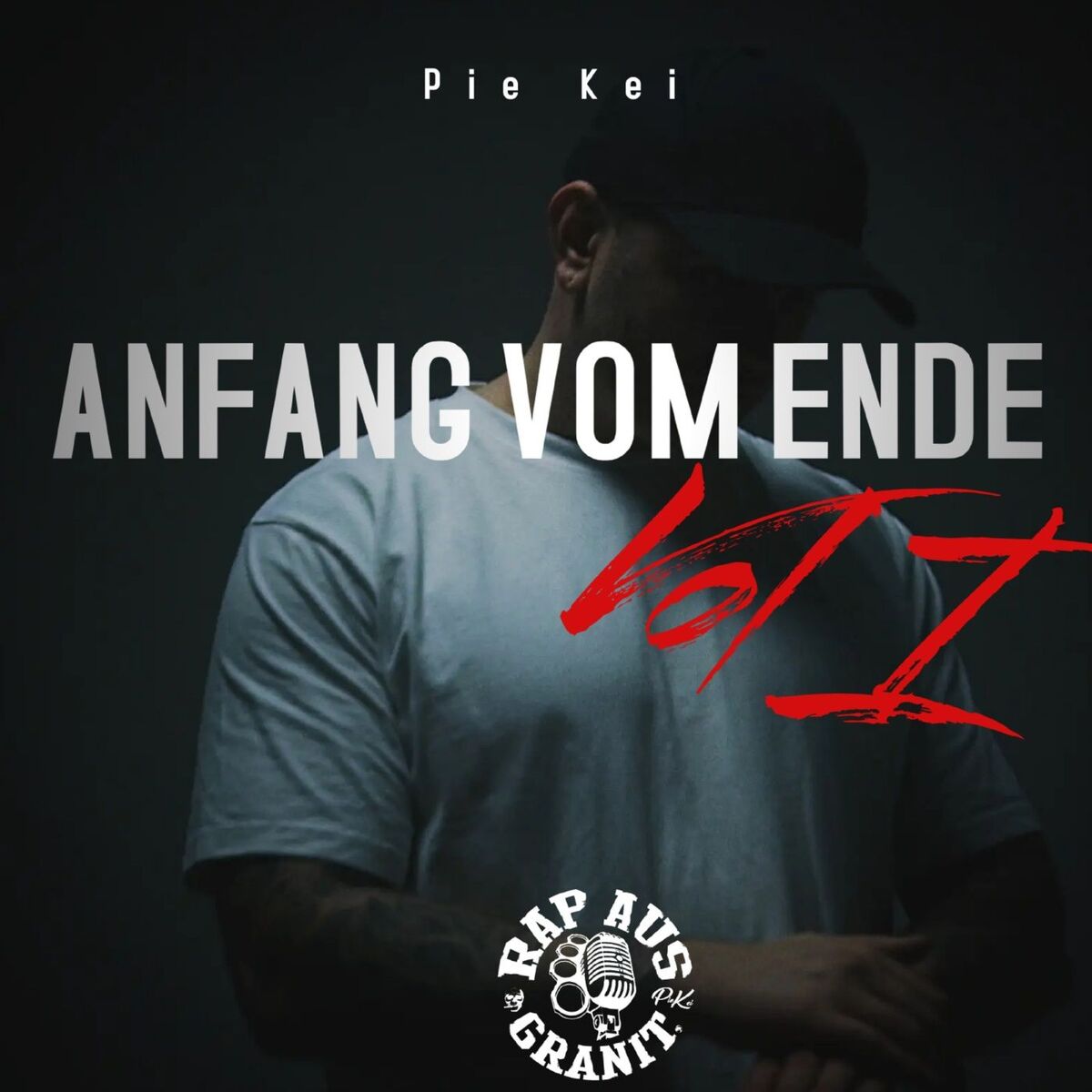 Album cover of Anfang vom Ende