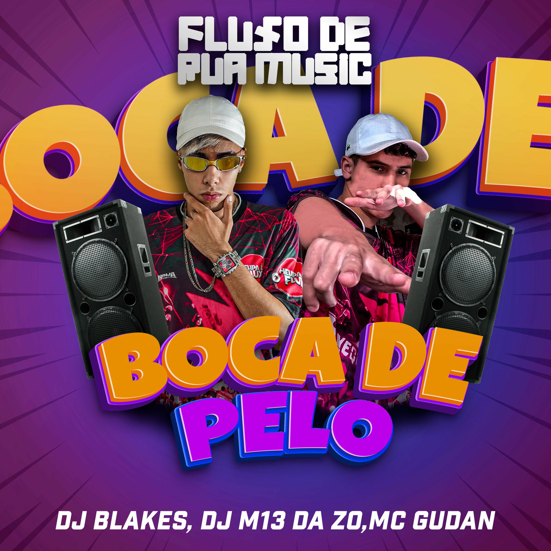 Album cover of Boca de Pelo