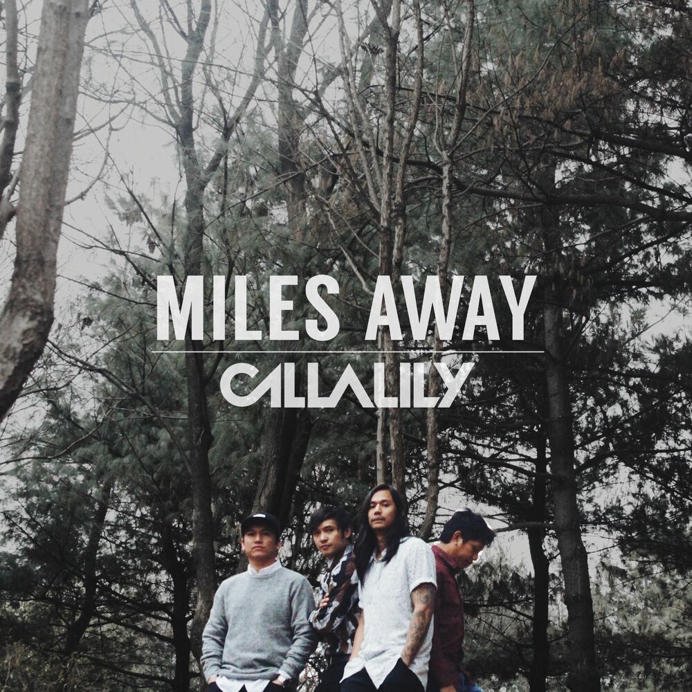 Picture of Miles Away