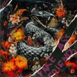 Cover of Fake Ass Friends