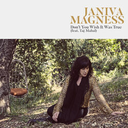 Cover of Don't You Wish It Was True