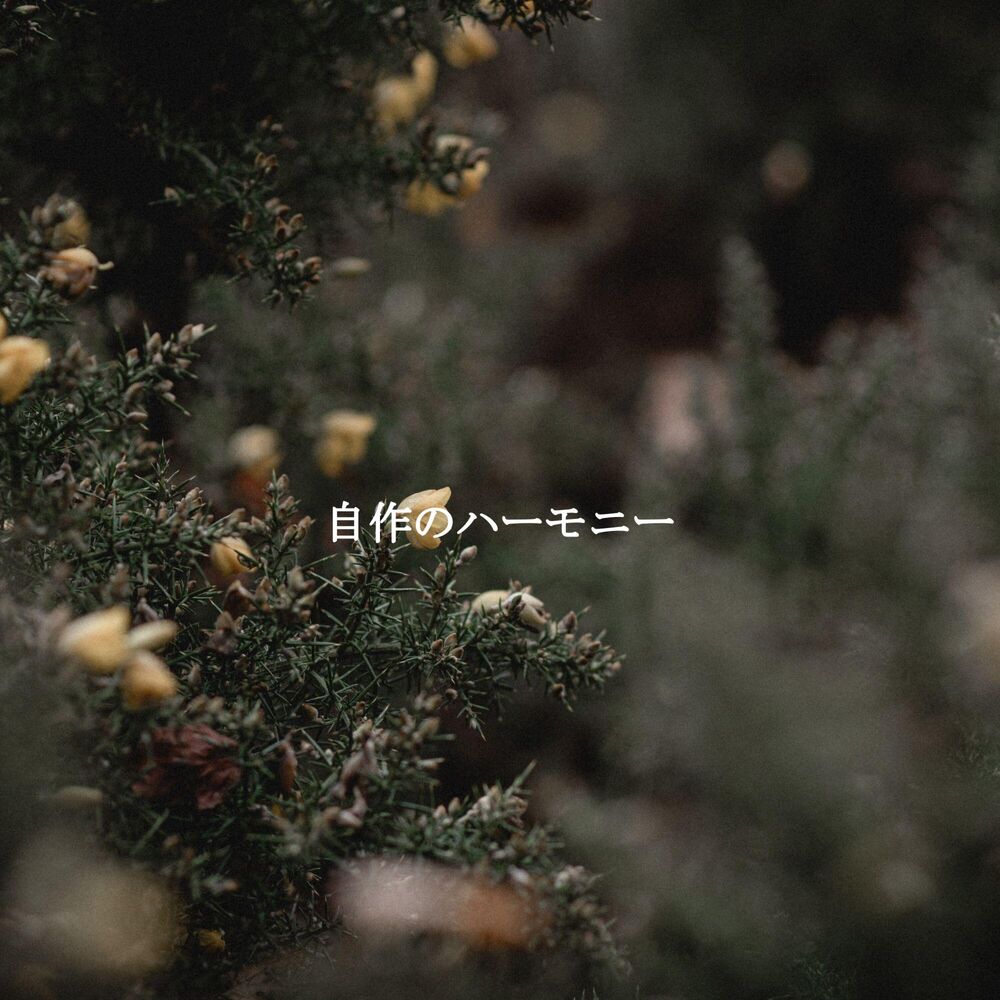 Picture of 自作のハーモニー