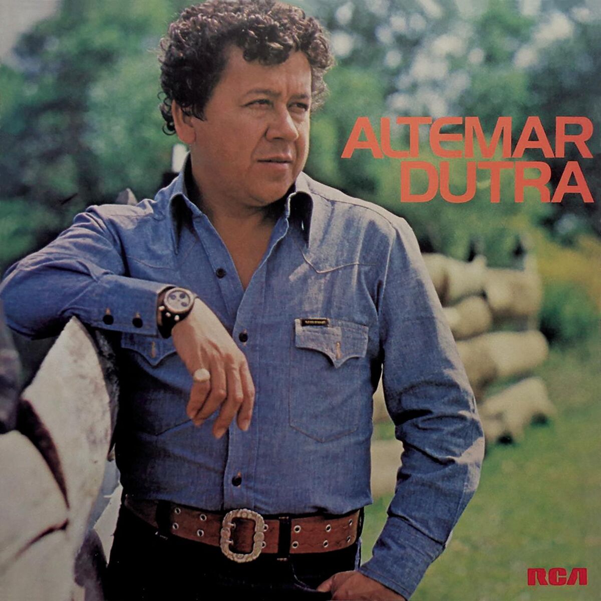 Album cover of Altemar Dutra