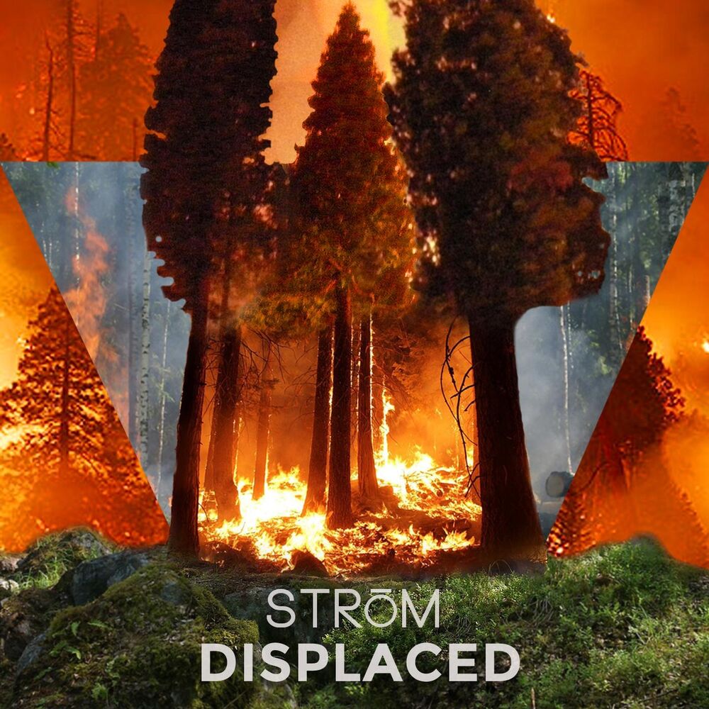 Picture of Displaced