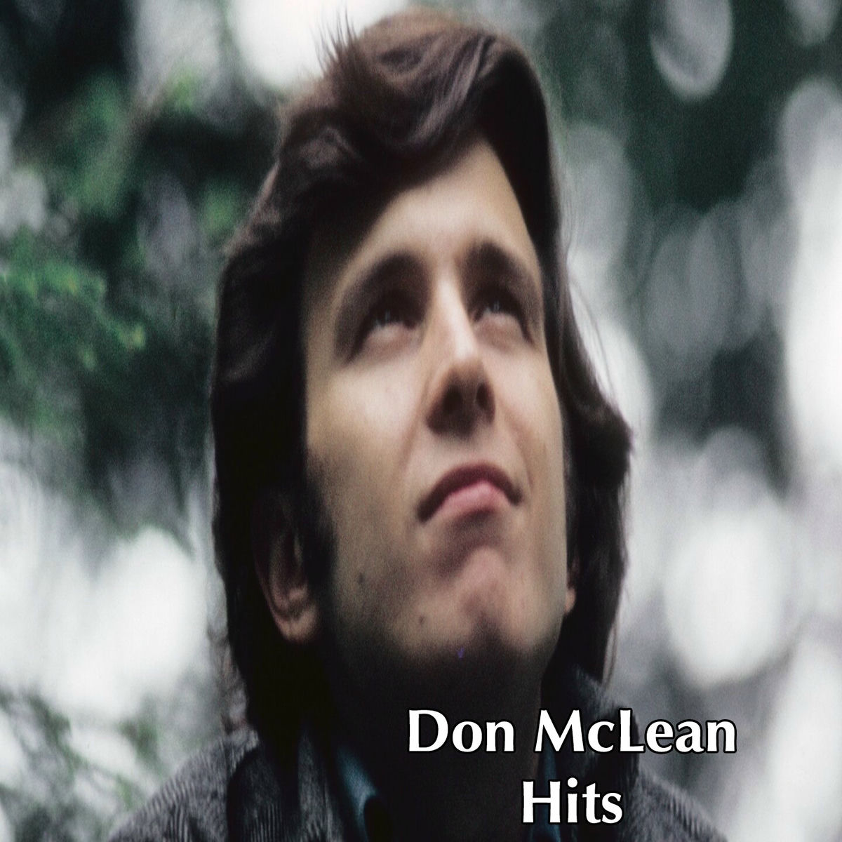 Album cover of Don McLean Hits