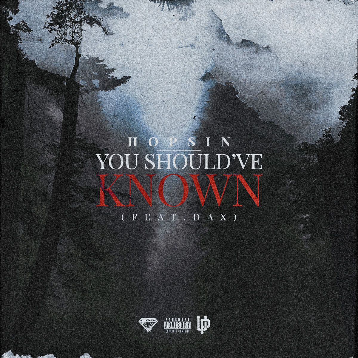 Album cover of You Should've Known