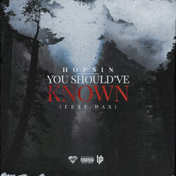 Cover of You Should've Known