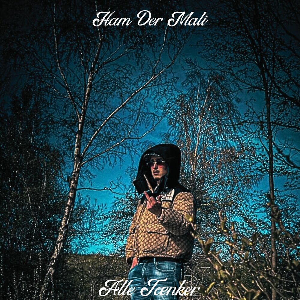 Picture of Alle Tænker