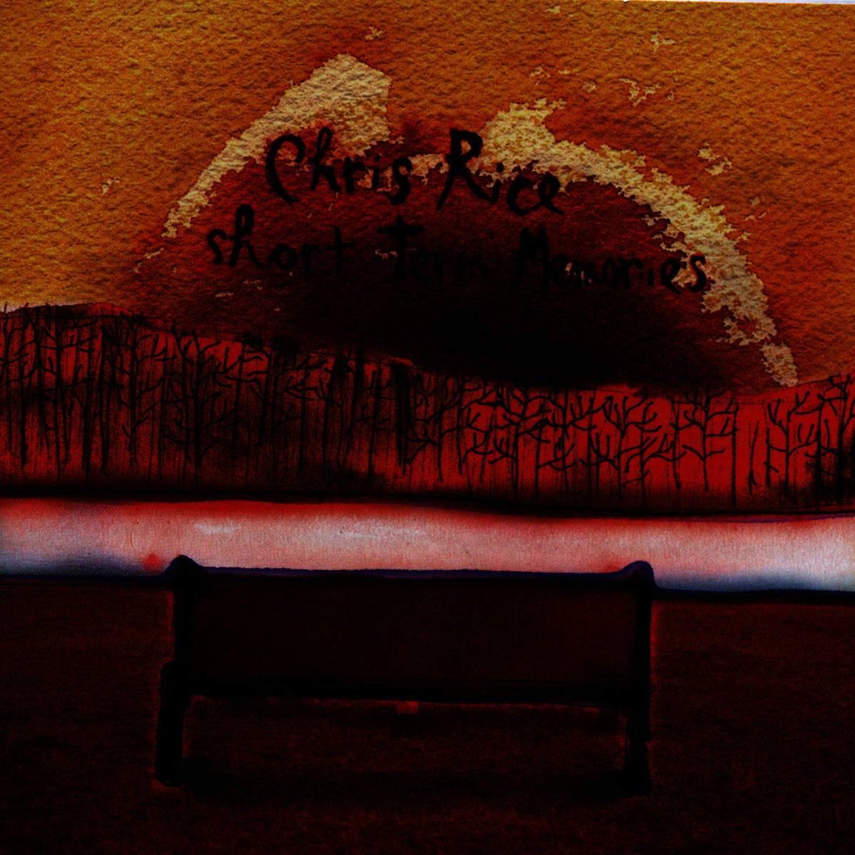 Album cover of Short Term Memories