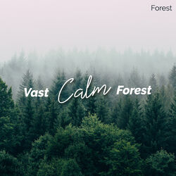 Cover of Vast Calm Forest