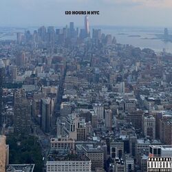 Cover of 120 Hours in NYC