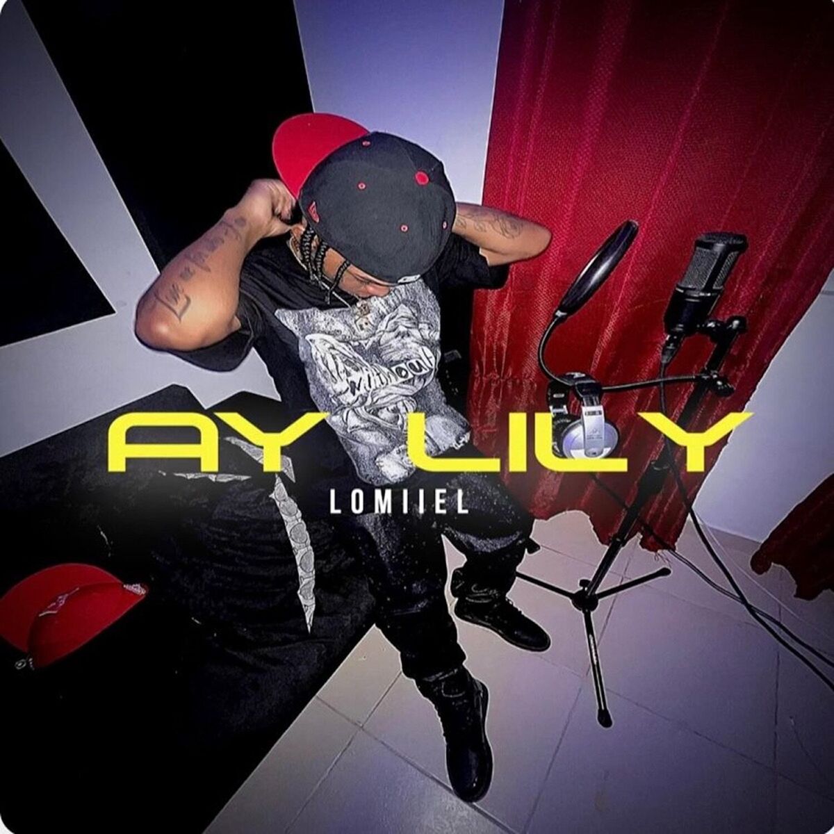 Album cover of AY LILY