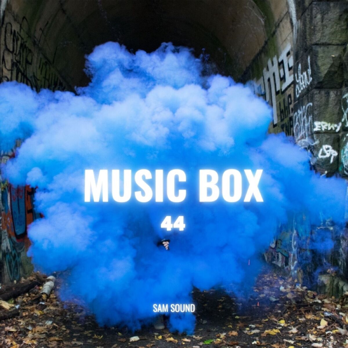 Album cover of Music Box Pt . 44