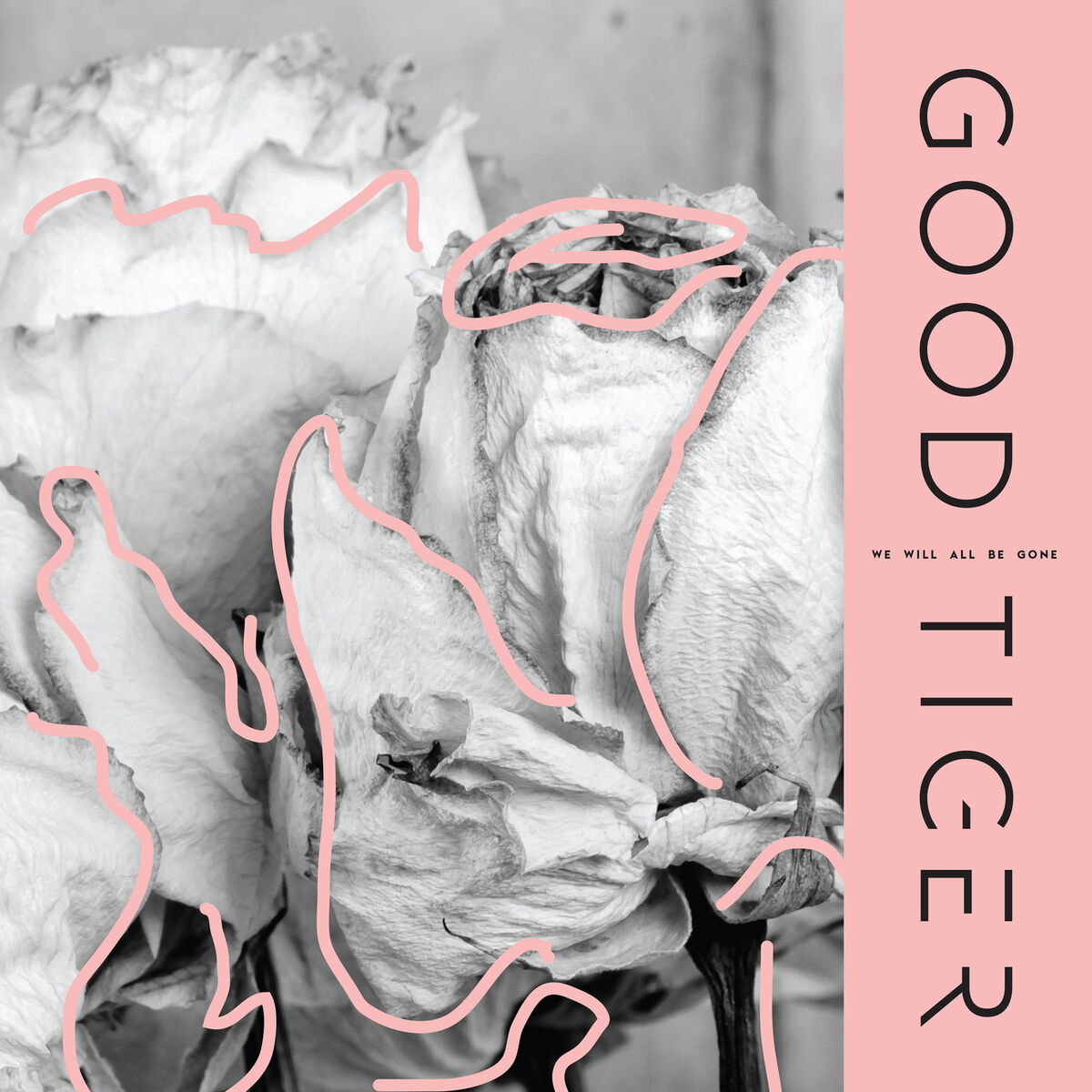 Album cover of Grip Shoes