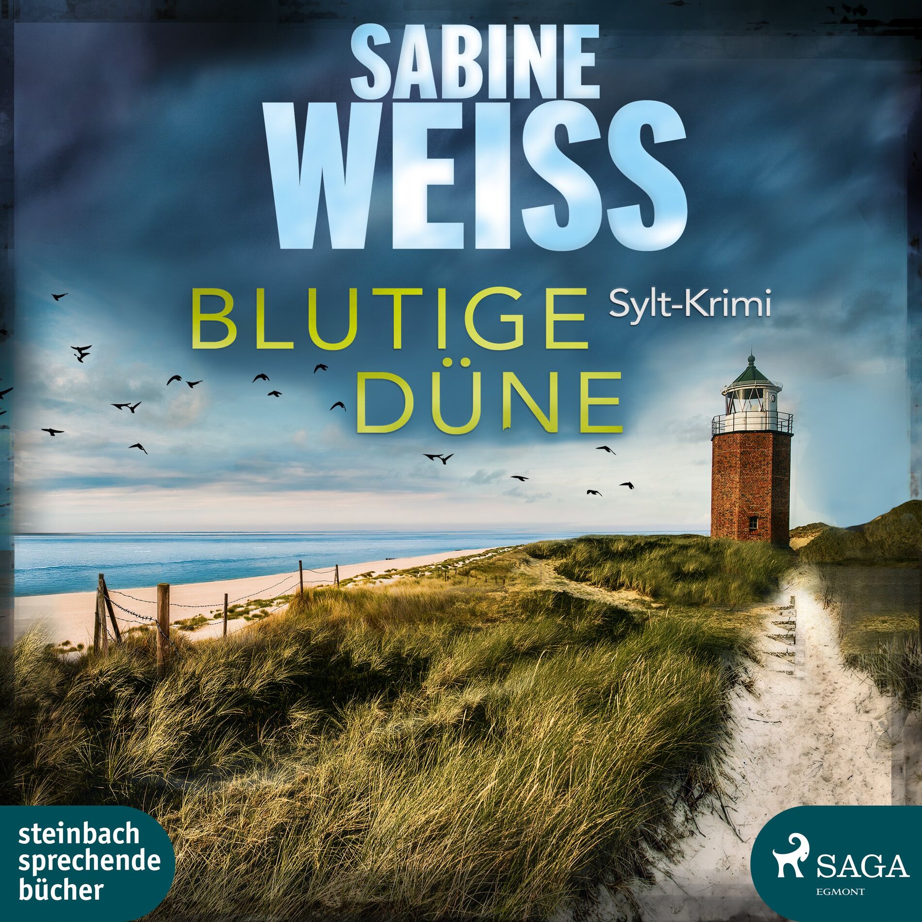 Album cover of Blutige Düne: Sylt-Krimi (Liv Lammers, Band 4)