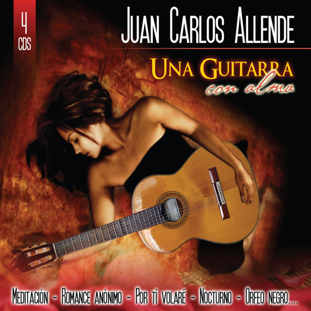Picture of Una guitarra con alma