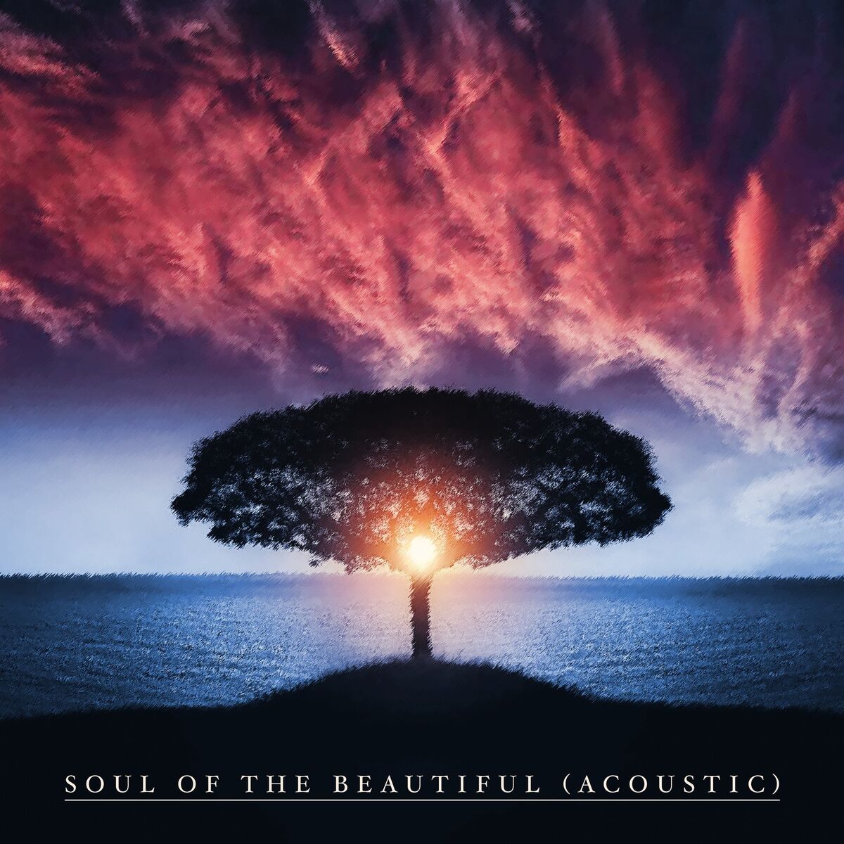 Album cover of Soul of the Beautiful (Acoustic)