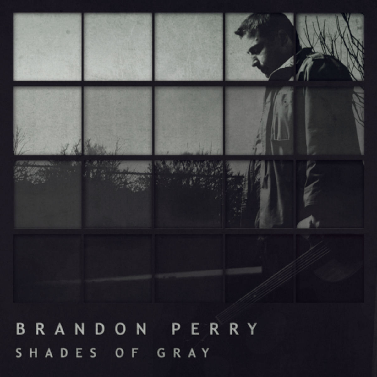 Album cover of Shades of Gray
