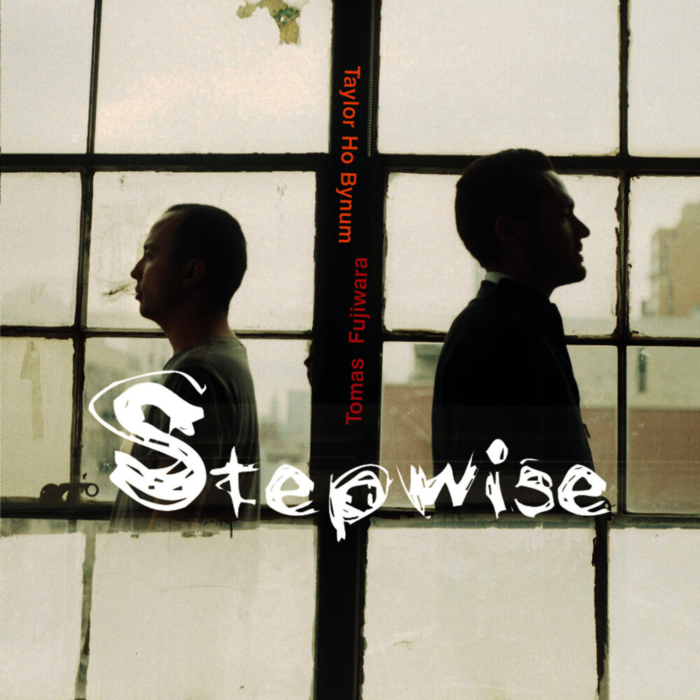 Picture of Stepwise