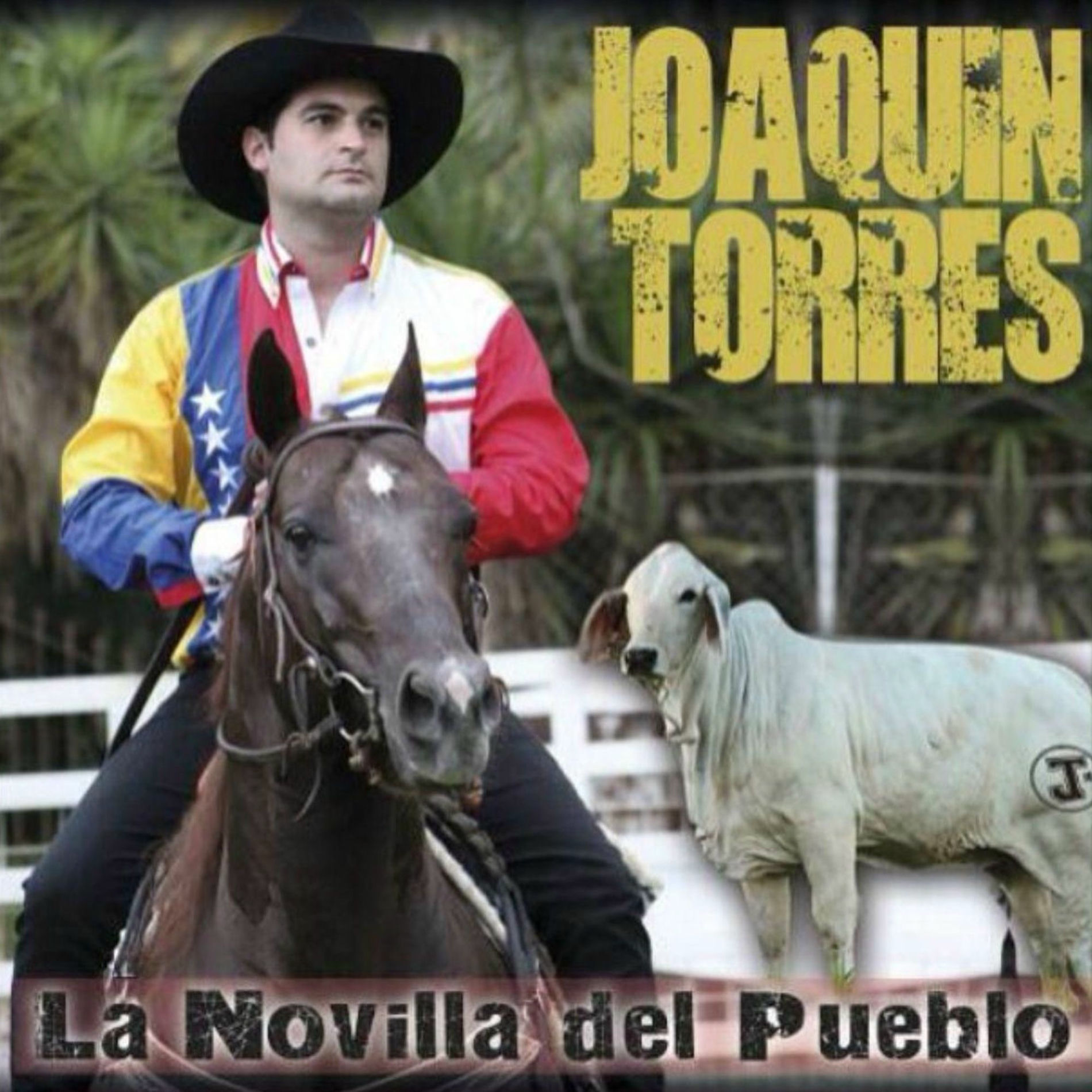Album cover of La Novilla del Pueblo