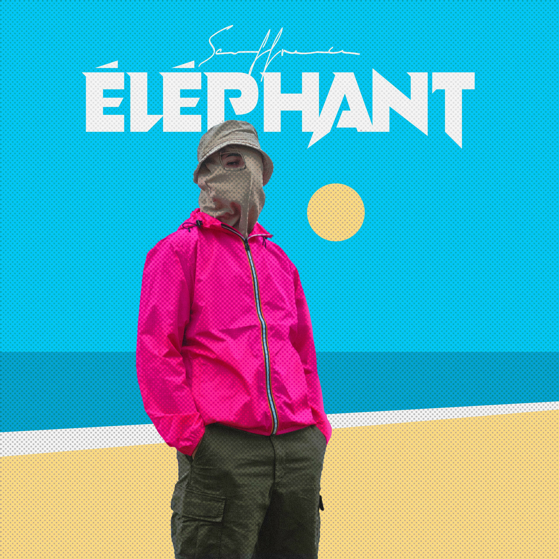 Album cover of ÉLÉPHANT