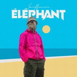 Cover of ÉLÉPHANT