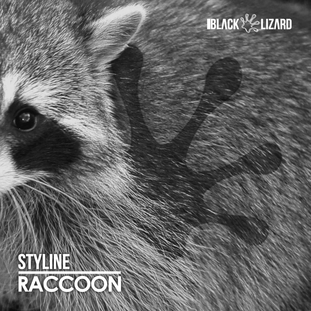 Picture of Raccoon