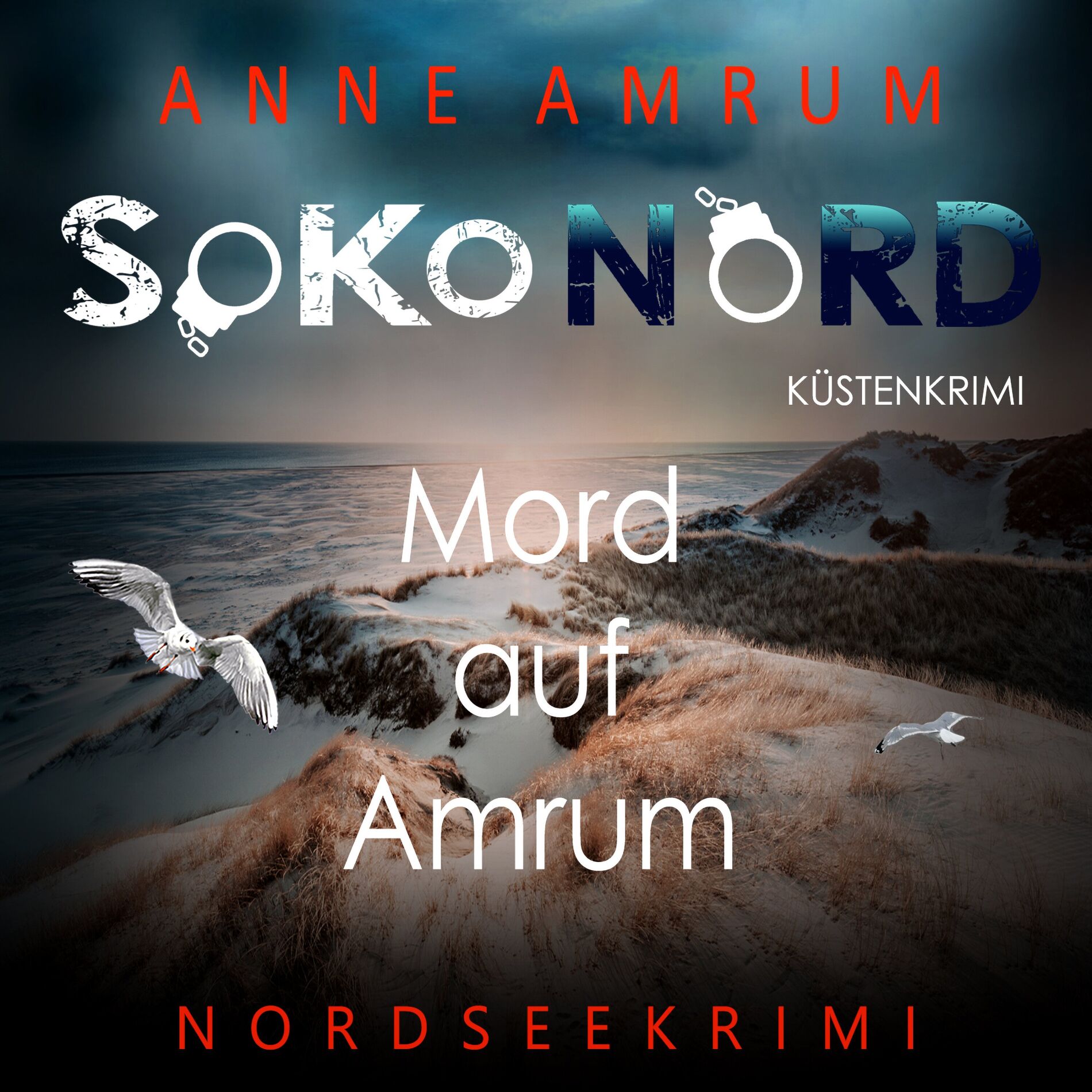 Album cover of SoKo Nord - Mord auf Amrum: Küstenkrimi Nordseekrimi