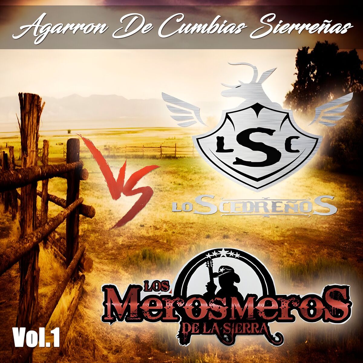 Album cover of Agarrón de Cumbias Sierreñas Vol. 1