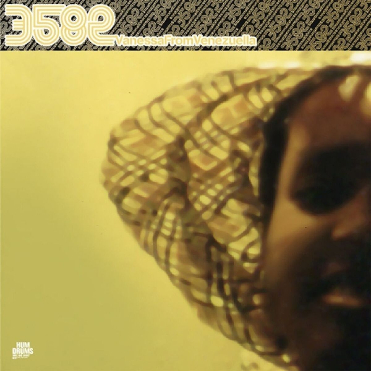 Album cover of Vanessa From Venezuela