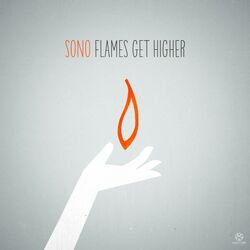 Cover of Flames Get Higher
