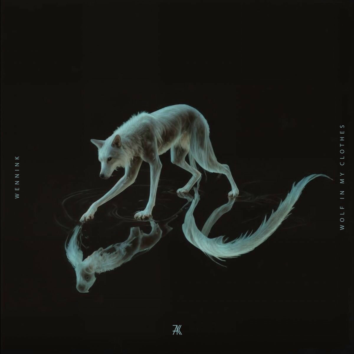 Album cover of Wolf In My Clothes