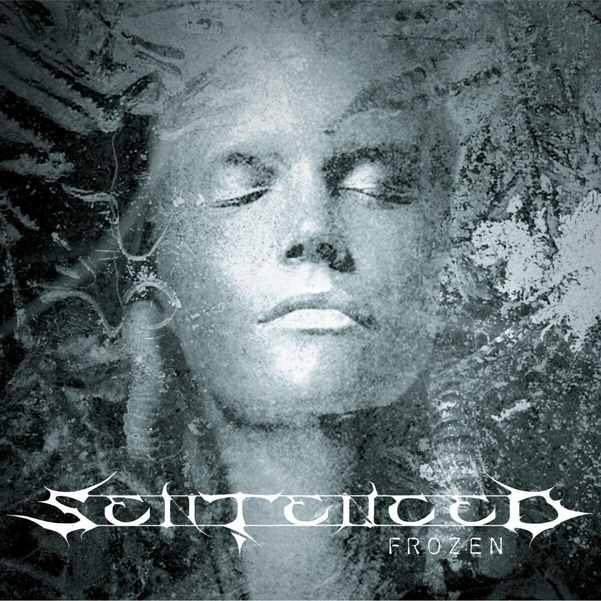 Album cover of Frozen (Remastered Re-issue + Bonus 2007)