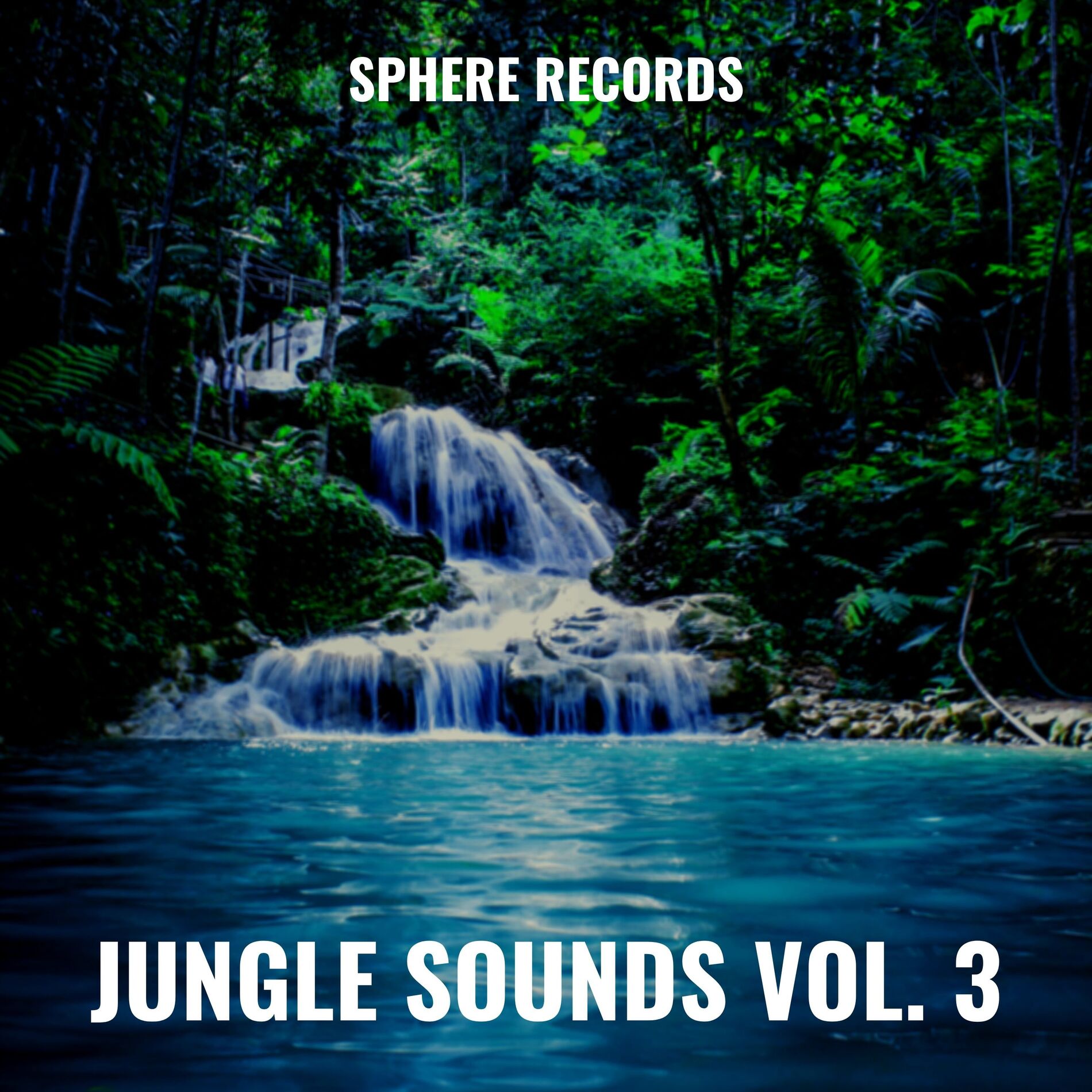 Album cover of Jungle Sounds Vol. 3