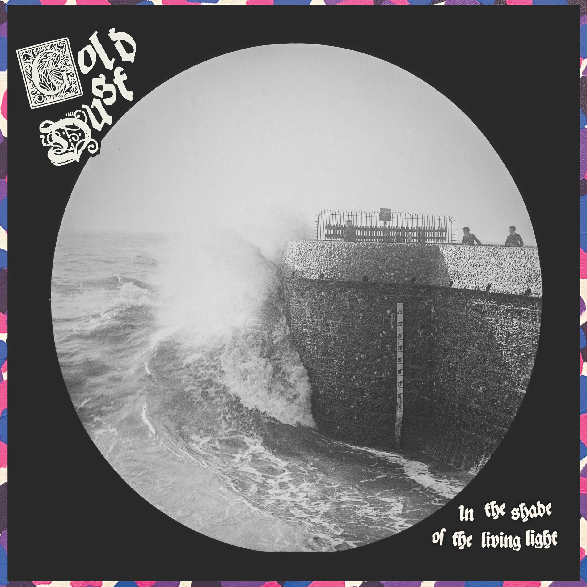 Album cover of In the Shade of the Living Light