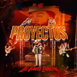 Cover of De Los Proyectos