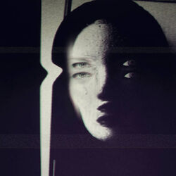Cover of Nothing but the Whole