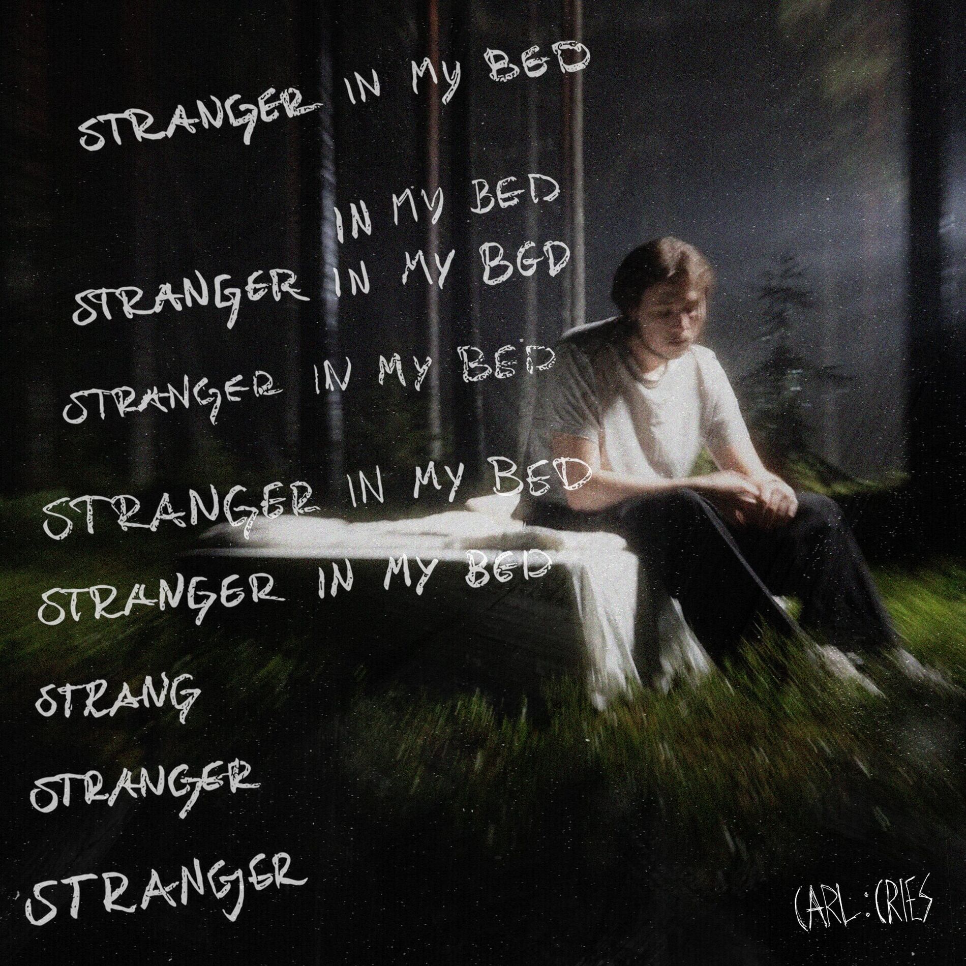 Album cover of Stranger In My Bed