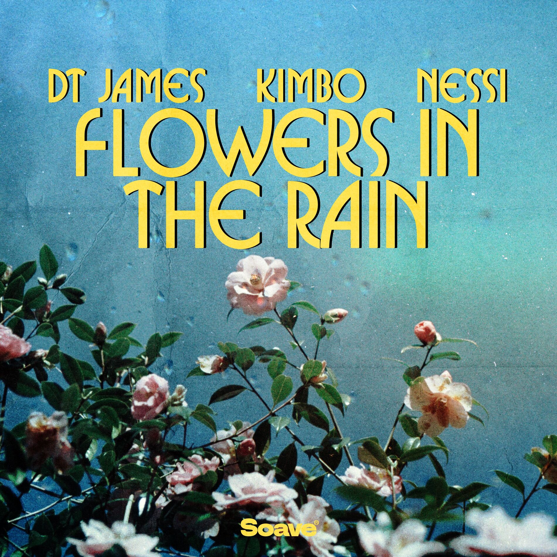 Album cover of Flowers In The Rain