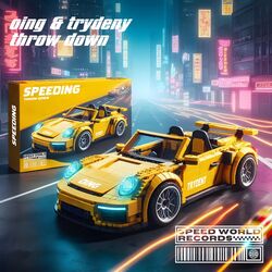 Cover of Throw Down