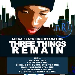 Cover of Three Things Remain
