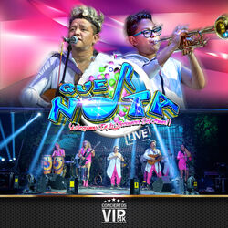 Cover of Conciertos Vip 4K: Grupo Que Nota (Live)