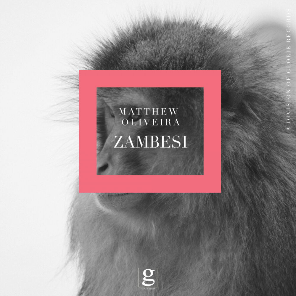 Picture of Zambesi