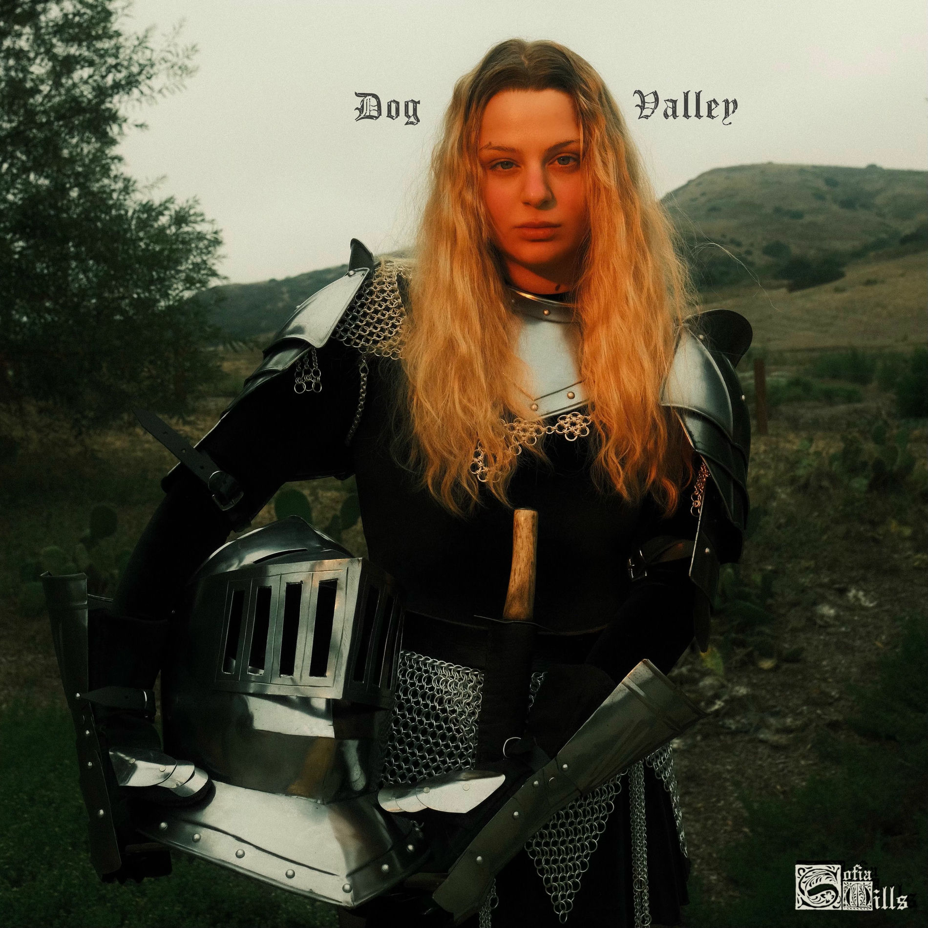 Album cover of Dog Valley