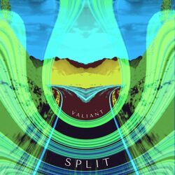 Cover of Split