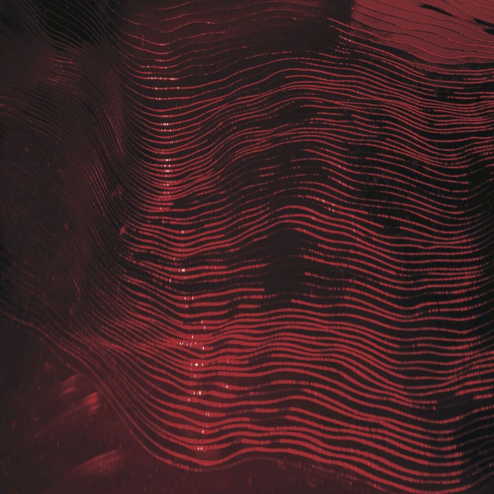 Picture of Get Lost