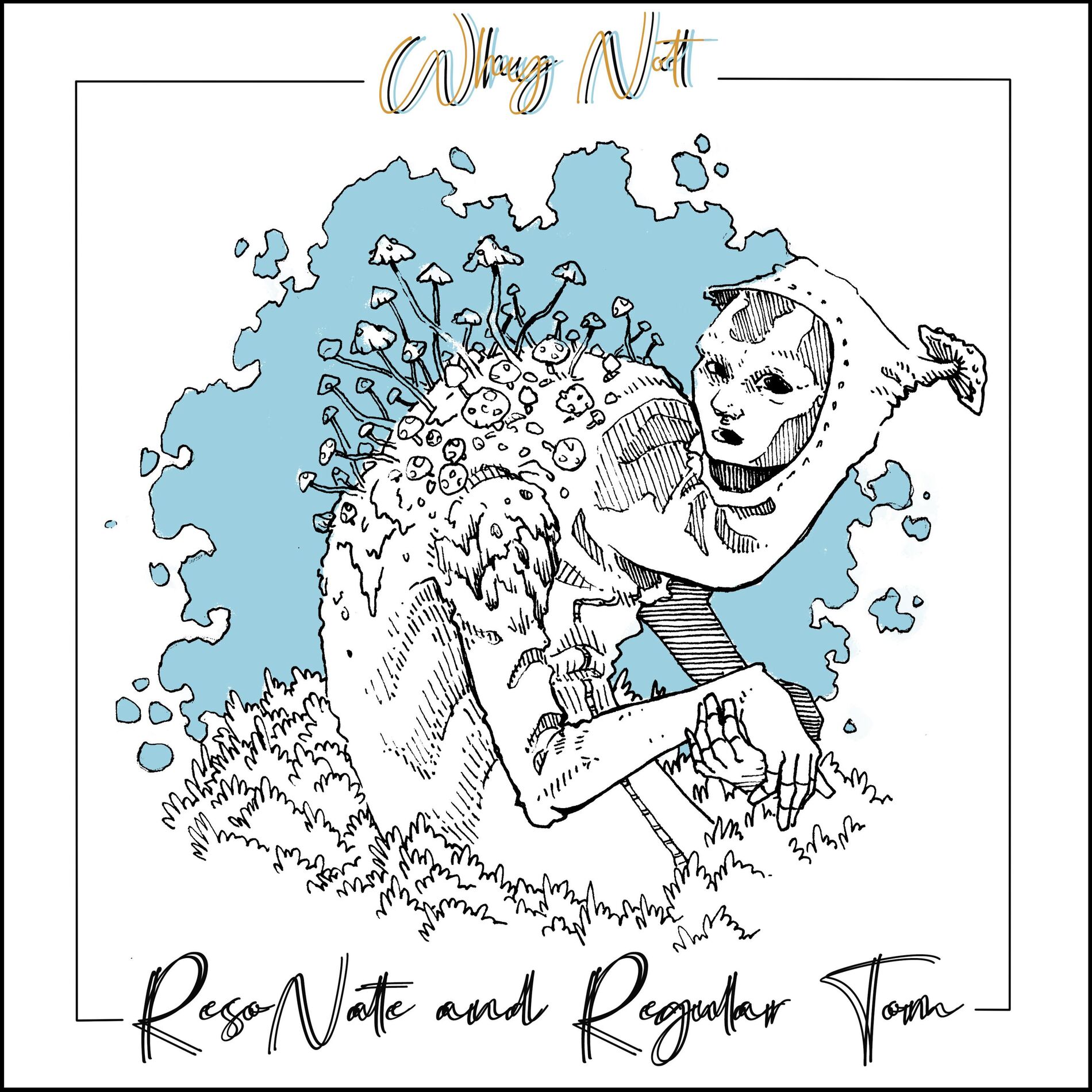 Album cover of Why Not