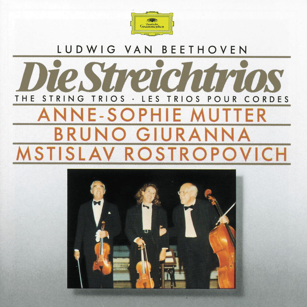 Picture of Beethoven: The String Trios