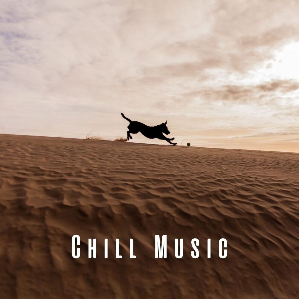 Picture of Chill Music: Dog Bliss with Lofi Sounds