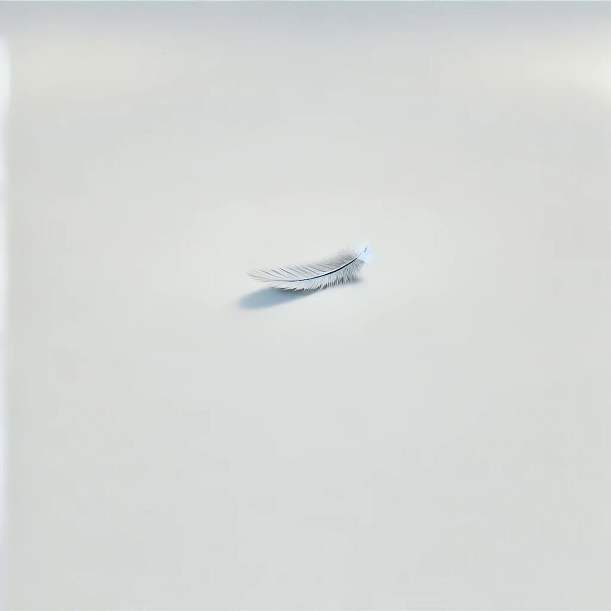 Album cover of FEATHER
